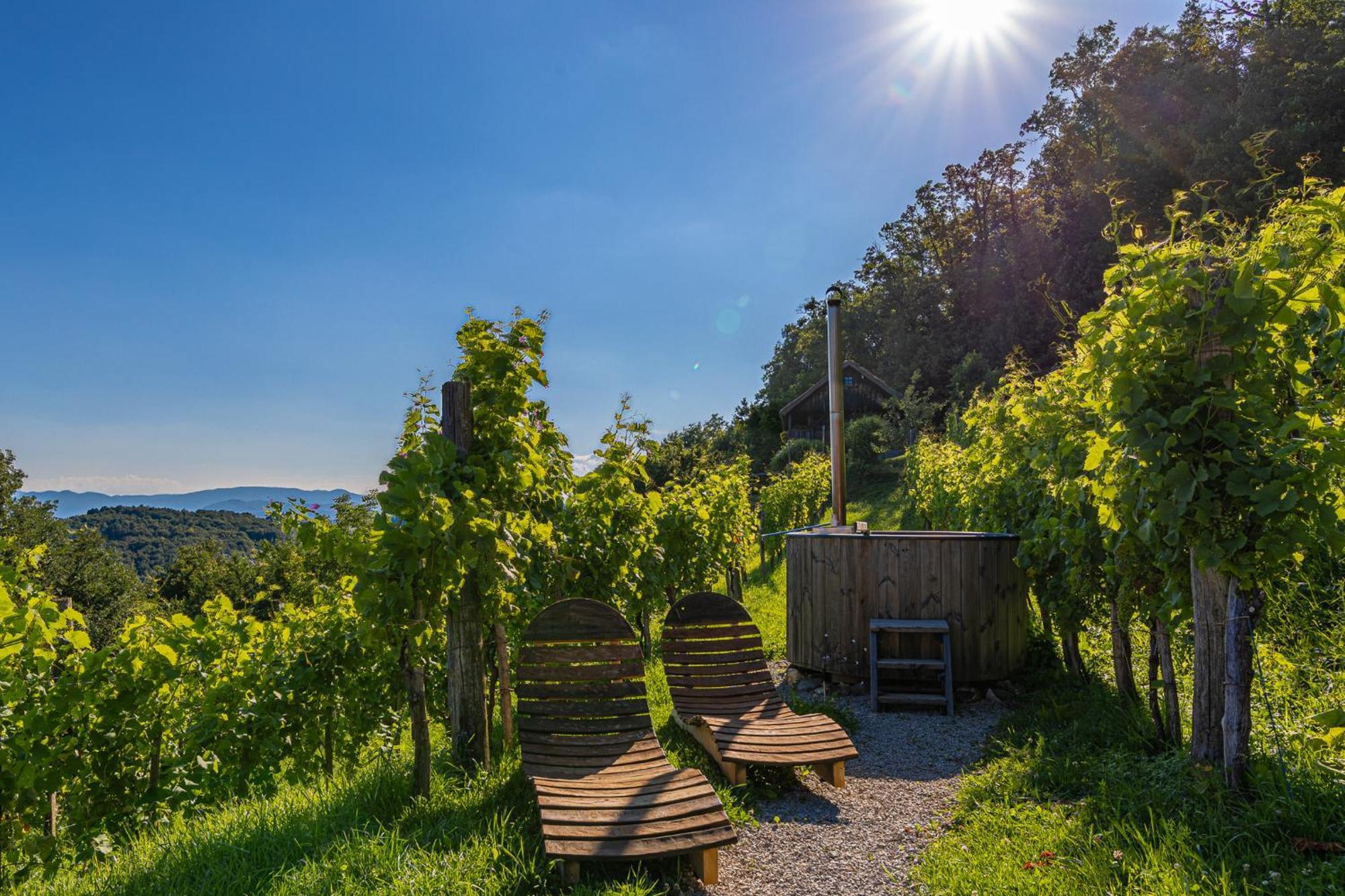Vineyard Cottage Skatlar 3 Otočec エクステリア 写真